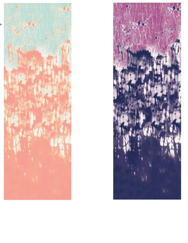 Customized Printing PVC Yoga Mat Fintness Mat